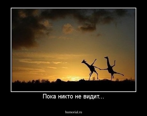 Пока никто не видит...