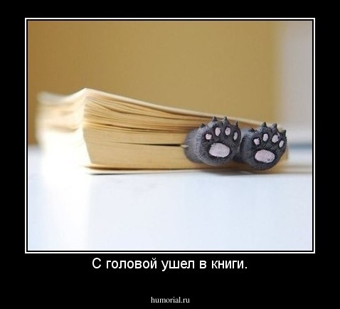 С головой ушел в книги.