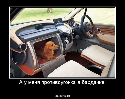 А у меня противоугонка в бардачке!