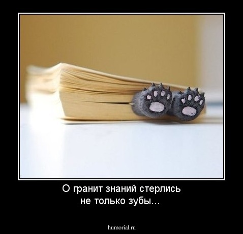 О гранит знаний стерлись не только зубы...