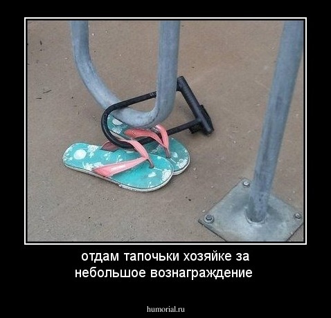 отдам тапочьки хозяйке за небольшое вознаграждение