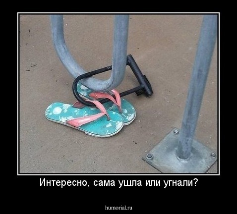 Интересно, сама ушла или угнали?