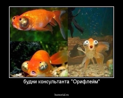 будни консультанта "Орифлейм"