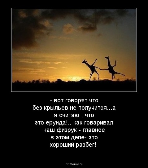 - вот говорят что без крыльев не получится...а я считаю , что это ерунда!.. как говаривал наш физрук - главное в этом деле- это хороший разбег!
