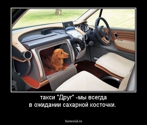 такси  "Друг" -мы всегда в ожидании сахарной косточки. 