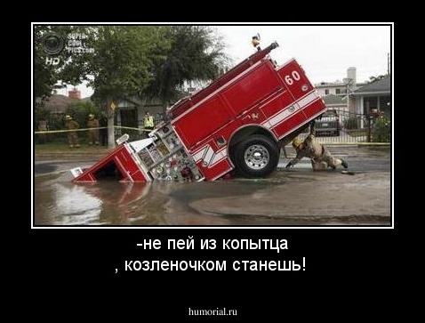 -не пей из копытца  , козленочком станешь!