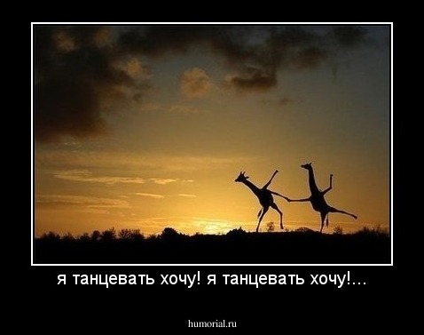 я танцевать хочу! я танцевать хочу!...