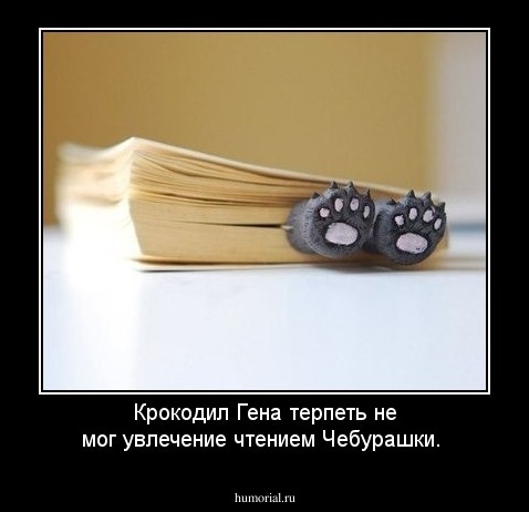 Крокодил Гена терпеть не мог увлечение чтением Чебурашки. 