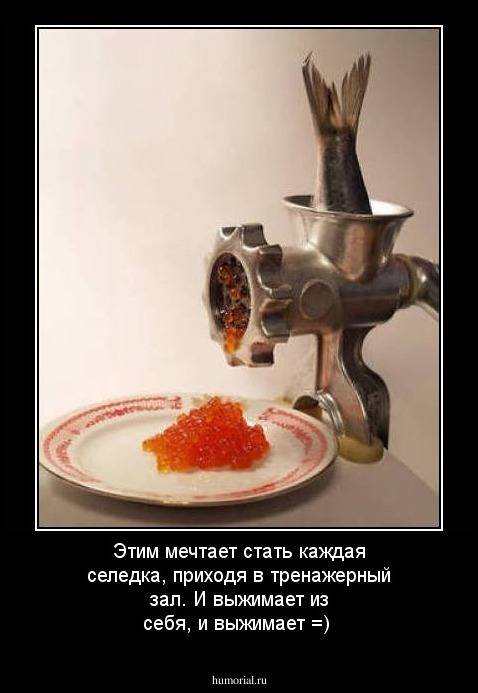 Этим мечтает стать каждая селедка, приходя в тренажерный зал. И выжимает из себя, и выжимает =)