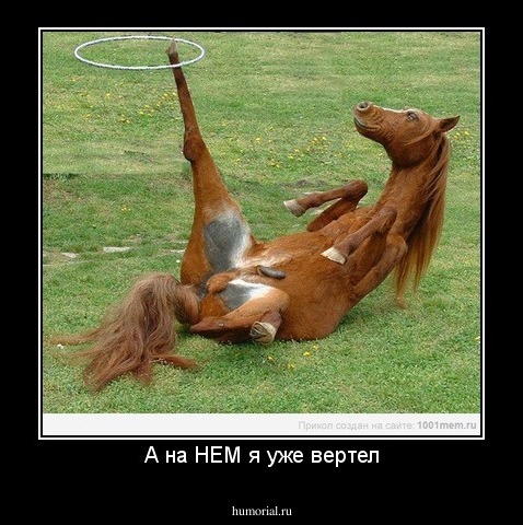 А на НЕМ я уже вертел