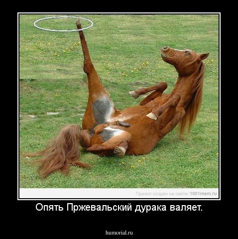 Опять Пржевальский дурака валяет.