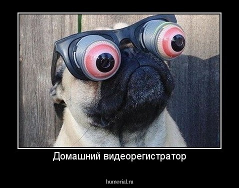 Домашний видеорегистратор