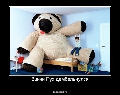 Винни Пух дембельнулся