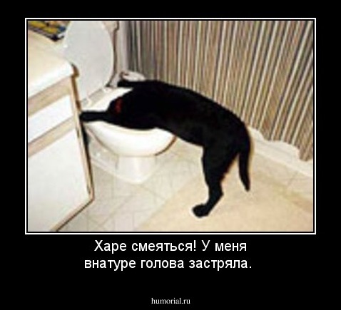 Харе смеяться! У меня внатуре голова застряла.