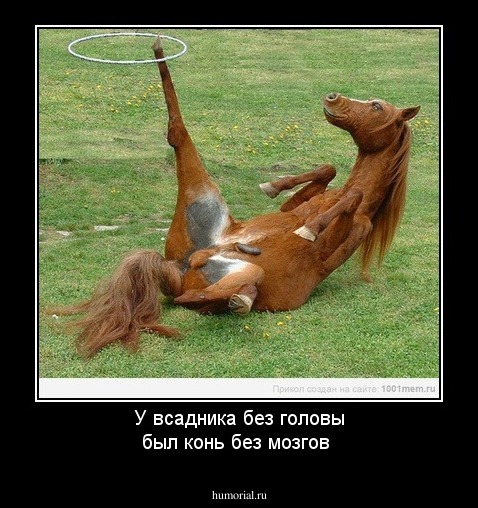 У всадника без головы был конь без мозгов