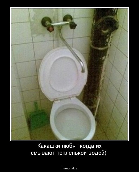 Какашки любят когда их смывают тепленькой водой)