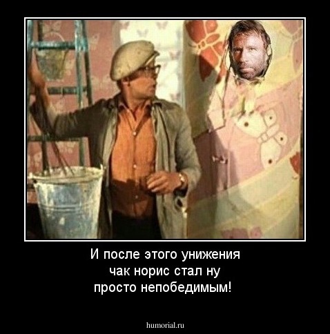 И после этого унижения чак норис стал ну просто непобедимым!
