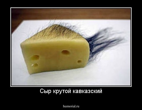 Сыр крутой кавказский
