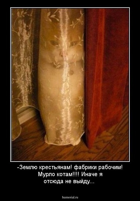 -Землю крестьянам! фабрики рабочим! Мурло котам!!!! Иначе я отсюда не выйду...