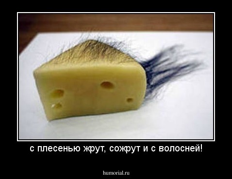 с плесенью жрут, сожрут и с волосней!