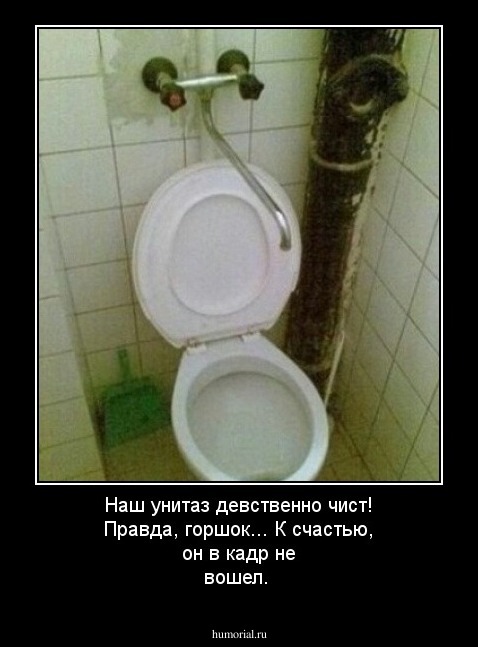 Наш унитаз девственно чист! Правда, горшок... К счастью, он в кадр не вошел.
