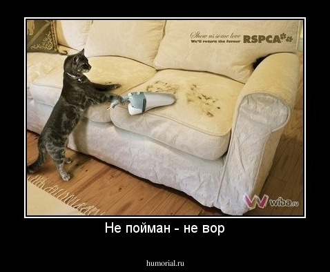 Не пойман - не вор