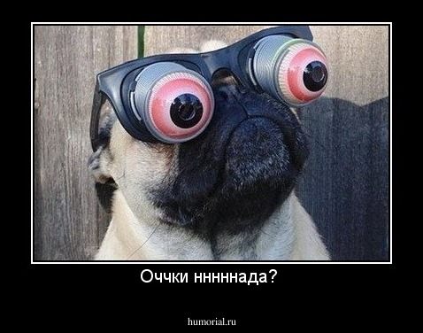 Оччки нннннада? 