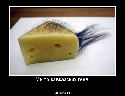 Мыло кавказских геев.