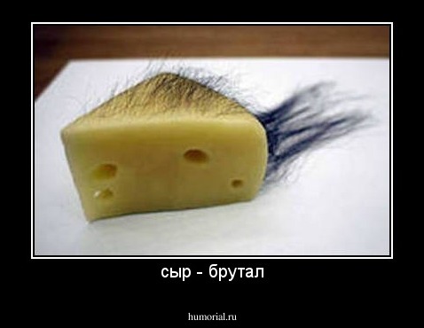 сыр - брутал