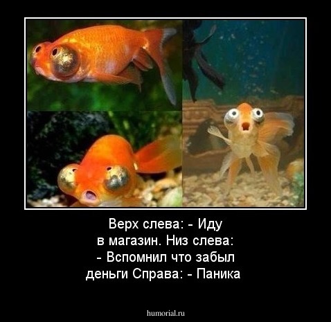 Верх слева: - Иду в магазин.
Низ слева: - Вспомнил что забыл деньги
Справа:       - Паника