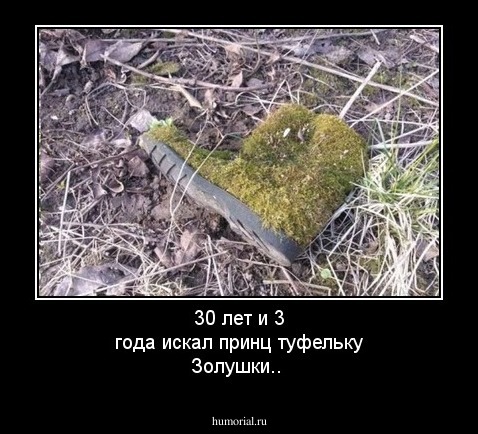 30 лет и 3 года искал принц туфельку Золушки..