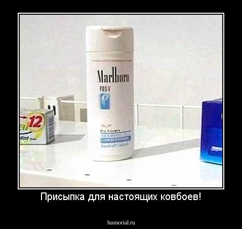 Присыпка для настоящих ковбоев!