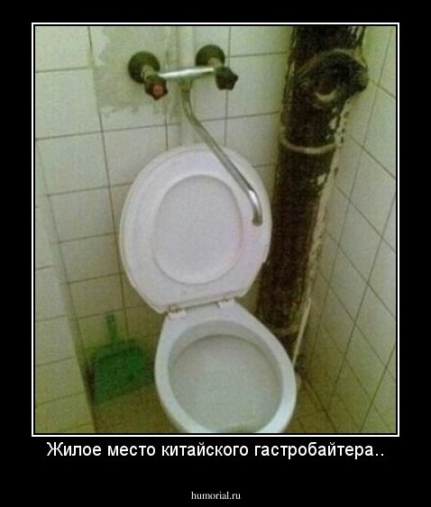 Жилое место китайского гастробайтера..