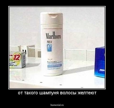 от такого шампуня волосы желтеют