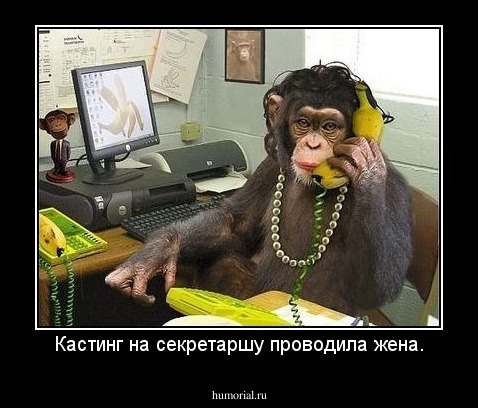 Кастинг на секретаршу проводила жена.