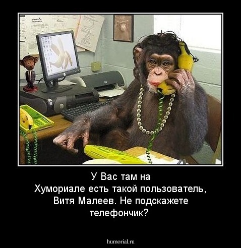 У Вас там на Хумориале есть такой пользователь, Витя Малеев. Не подскажете телефончик?