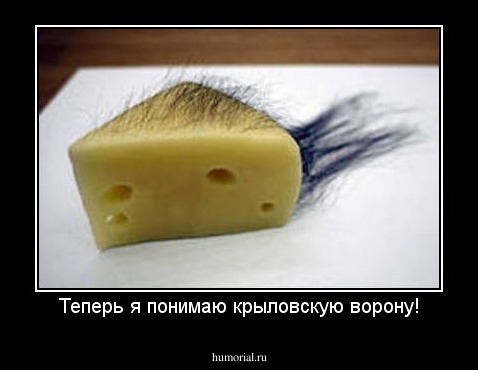 Теперь я понимаю крыловскую ворону!