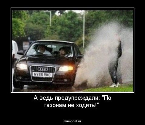 А ведь предупреждали: "По газонам не ходить!"