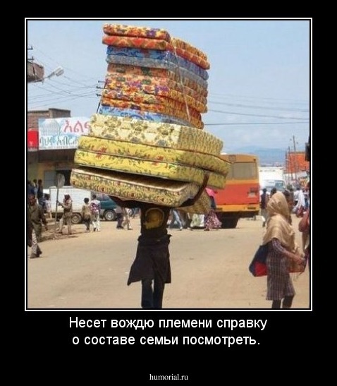 Несет вождю племени справку о составе семьи посмотреть.