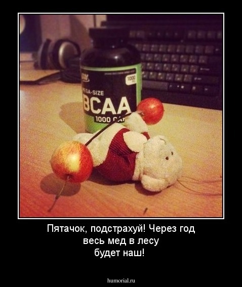 Пятачок, подстрахуй! Через год весь мед в лесу будет наш!