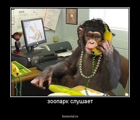 зоопарк слушает