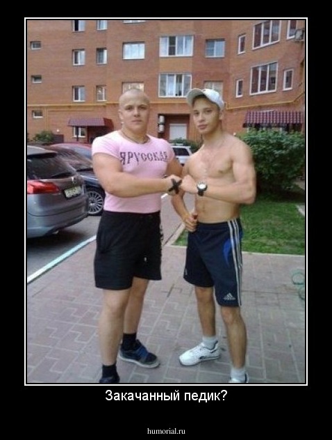 Закачанный педик?