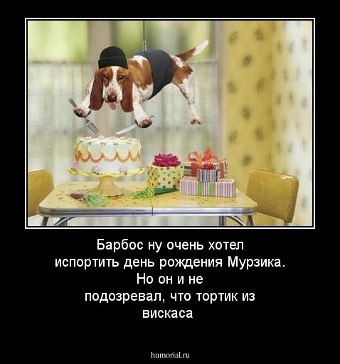 Барбос ну очень хотел испортить день рождения Мурзика. Но он и не подозревал, что тортик из вискаса