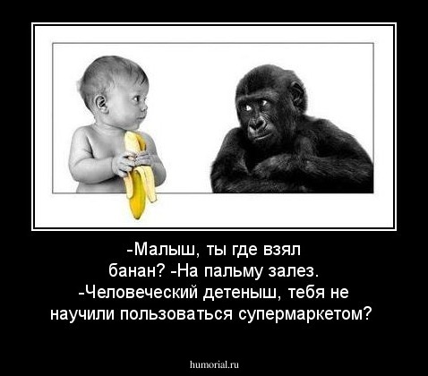-Малыш, ты где взял банан? 
-На пальму залез.
-Человеческий детеныш, тебя не научили пользоваться супермаркетом? 