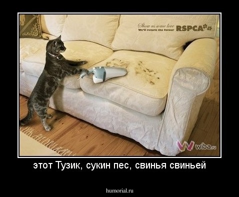 этот Тузик, сукин пес, свинья свиньей