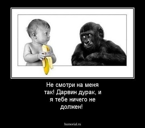 Не смотри на меня так! Дарвин дурак, и я тебе ничего не должен!