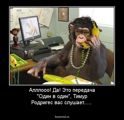 Алллооо! Да! Это передача "Один в один", Тимур Родригес вас слушает.....