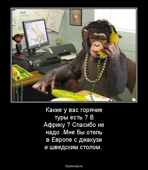 Какие у вас горячие туры есть ? В Африку ? Спасибо не надо .Мне бы отель в Европе с джакузи и шведским столом.