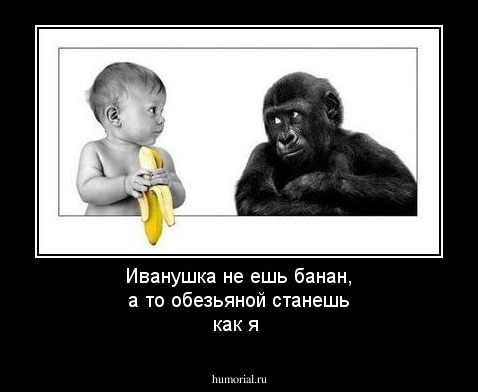 Иванушка не ешь банан, а то обезьяной станешь как я