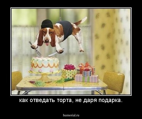 как отведать торта, не даря подарка.
